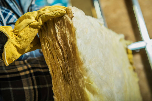 Best Home Insulation Services  in Pittsfield, IL