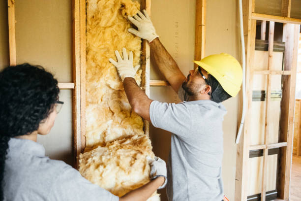Best Residential Insulation Services  in Pittsfield, IL