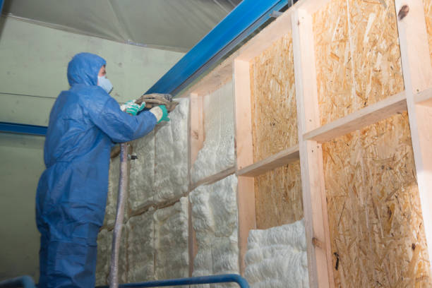 Best Crawl Space Insulation  in Pittsfield, IL