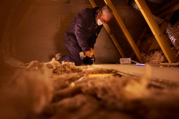 Best Local Insulation Services  in Pittsfield, IL